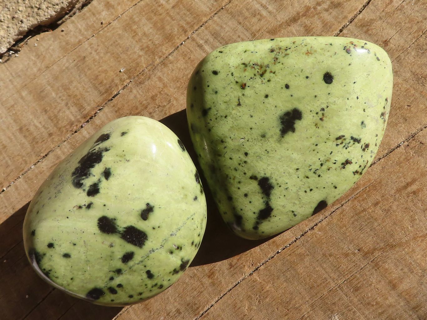 Polished Green Leopard Stone Free Forms  x 6 From Congo - Toprock Gemstones and Minerals 