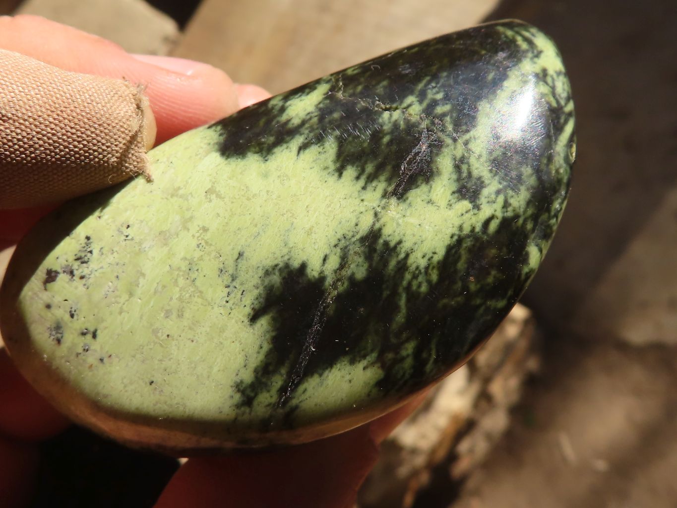 Polished Green Leopard Stone Free Forms  x 6 From Congo - Toprock Gemstones and Minerals 