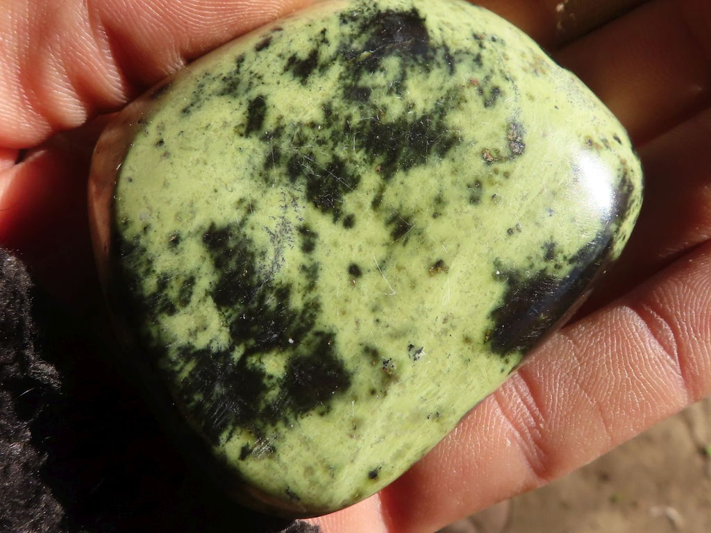 Polished Green Leopard Stone Free Forms  x 6 From Congo - Toprock Gemstones and Minerals 