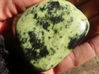 Polished Green Leopard Stone Free Forms  x 6 From Congo - Toprock Gemstones and Minerals 