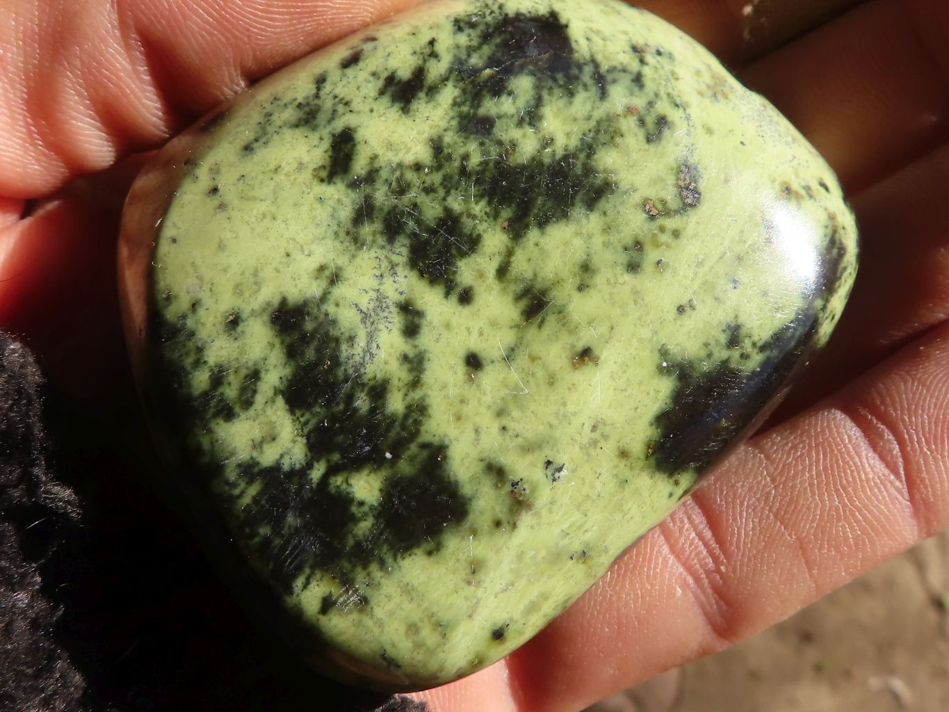 Polished Green Leopard Stone Free Forms  x 6 From Congo - Toprock Gemstones and Minerals 