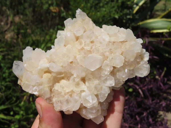 Natural Mixed Quartz Clusters x 5 From Madagascar - TopRock