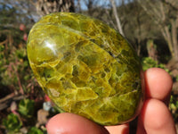 Polished Green Opal Galet / Palm Stones x 12 From Antsirabe, Madagascar - Toprock Gemstones and Minerals 