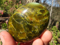 Polished Green Opal Galet / Palm Stones x 12 From Antsirabe, Madagascar - Toprock Gemstones and Minerals 