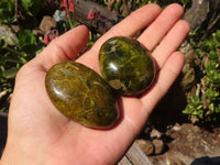 Polished Green Opal Galet / Palm Stones x 12 From Antsirabe, Madagascar - Toprock Gemstones and Minerals 
