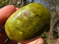 Polished Green Opal Galet / Palm Stones x 12 From Antsirabe, Madagascar - Toprock Gemstones and Minerals 