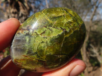 Polished Green Opal Galet / Palm Stones x 12 From Antsirabe, Madagascar - Toprock Gemstones and Minerals 
