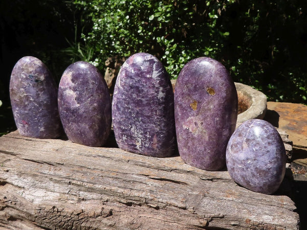 Polished Purple Lepidolite Standing Free Forms  x 5 From Madagascar - TopRock