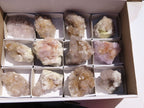 Natural Hematoid Spirit Cactus Quartz Clusters x 12 From Boekenhouthoek, South Africa - TopRock