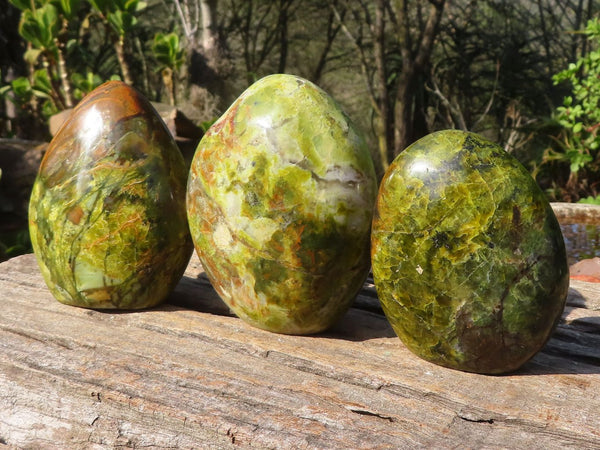 Polished Dendritic Green Opal Standing Free Forms  x 3 From Madagascar - Toprock Gemstones and Minerals 