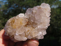 Natural Hematoid Spirit Cactus Quartz Clusters x 12 From Boekenhouthoek, South Africa - TopRock