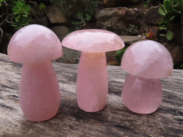 Polished Pink Rose Quartz Mushrooms  x 6 From Ambatondrazaka, Madagascar - TopRock