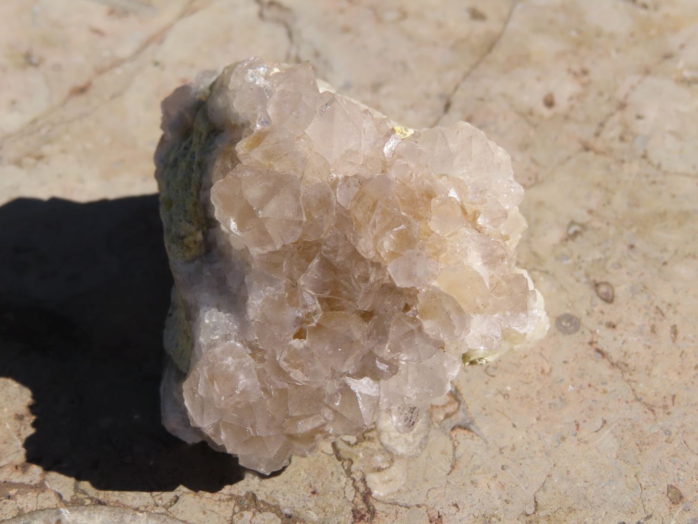 Natural Hematoid Spirit Cactus Quartz Clusters x 12 From Boekenhouthoek, South Africa - TopRock