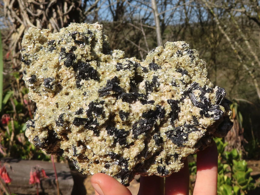 Natural Schorl Black Tourmaline Specimens With Vermiculite x 2 From Erongo, Namibia - Toprock Gemstones and Minerals 