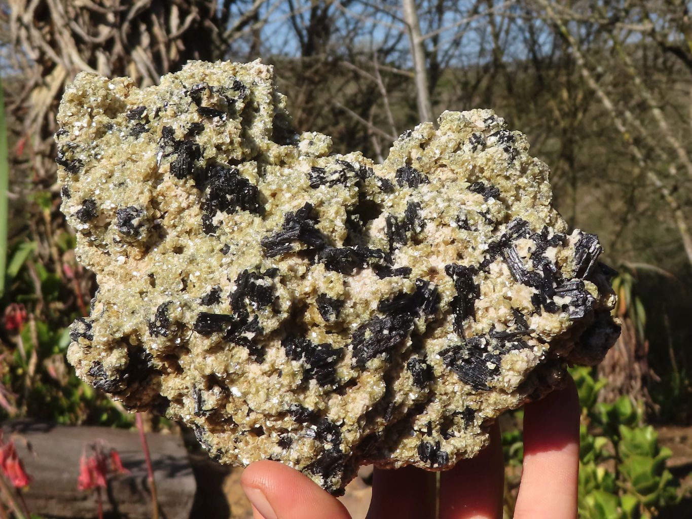 Natural Schorl Black Tourmaline Specimens With Vermiculite x 2 From Erongo, Namibia - Toprock Gemstones and Minerals 