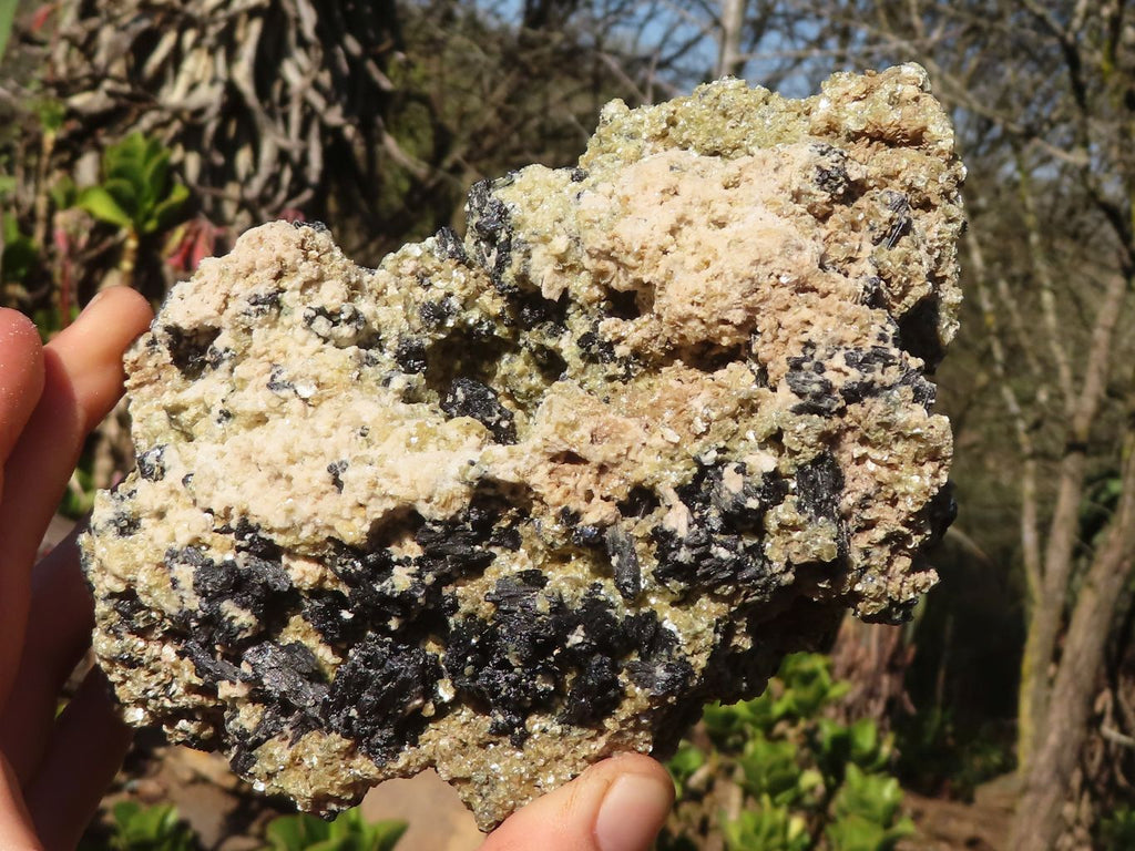 Natural Schorl Black Tourmaline Specimens With Vermiculite x 2 From Erongo, Namibia - Toprock Gemstones and Minerals 