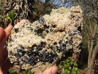 Natural Schorl Black Tourmaline Specimens With Vermiculite x 2 From Erongo, Namibia - Toprock Gemstones and Minerals 