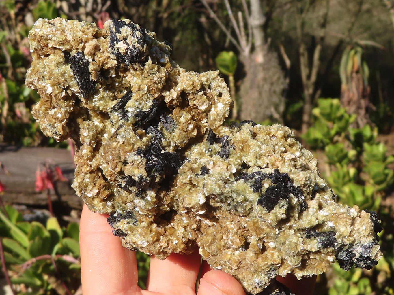 Natural Schorl Black Tourmaline Specimens With Vermiculite x 2 From Erongo, Namibia - Toprock Gemstones and Minerals 