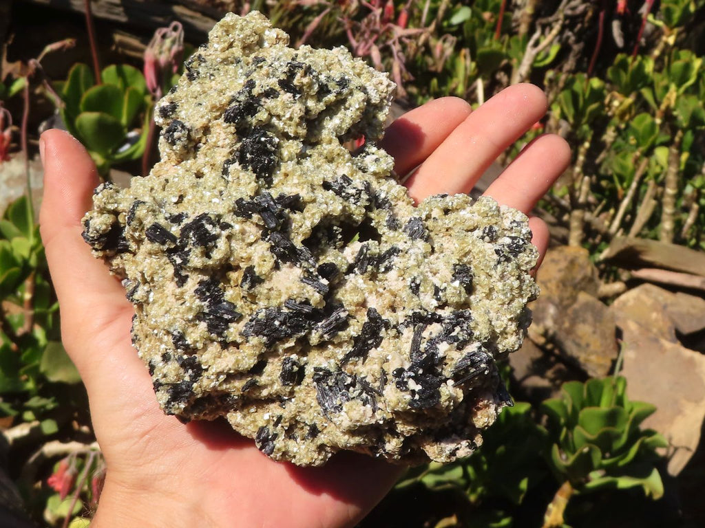 Natural Schorl Black Tourmaline Specimens With Vermiculite x 2 From Erongo, Namibia - Toprock Gemstones and Minerals 