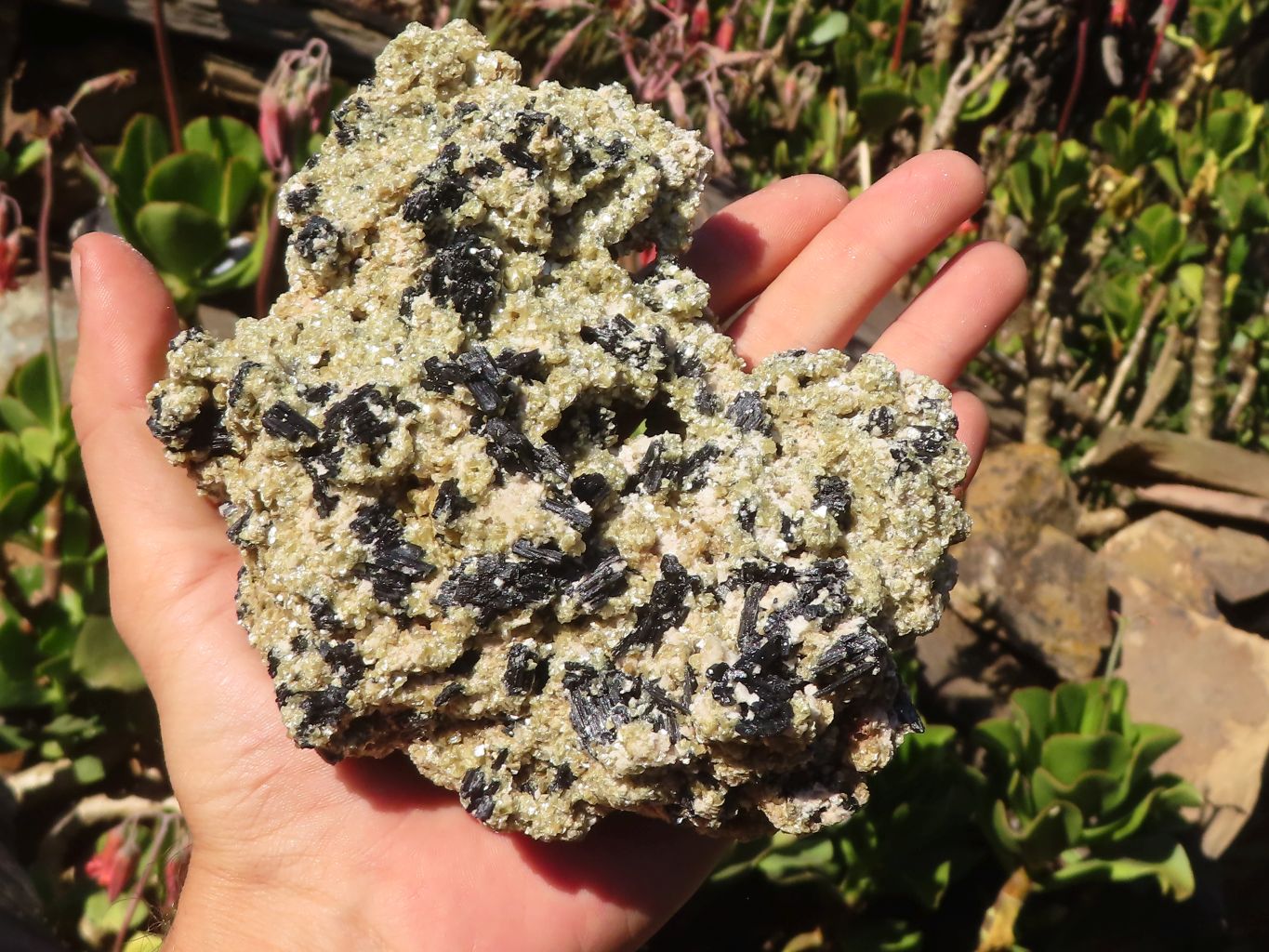 Natural Schorl Black Tourmaline Specimens With Vermiculite x 2 From Erongo, Namibia - Toprock Gemstones and Minerals 
