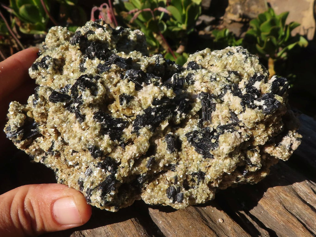 Natural Schorl Black Tourmaline Specimens With Vermiculite x 2 From Erongo, Namibia - Toprock Gemstones and Minerals 