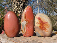 Polished  Polychrome / Picasso Jasper Standing Free Forms  x 3 From Mahajanga, Madagascar - Toprock Gemstones and Minerals 