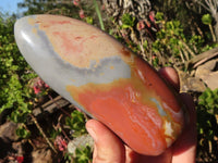 Polished  Polychrome / Picasso Jasper Standing Free Forms  x 3 From Mahajanga, Madagascar - Toprock Gemstones and Minerals 