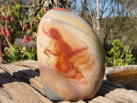 Polished  Polychrome / Picasso Jasper Standing Free Forms  x 3 From Mahajanga, Madagascar - Toprock Gemstones and Minerals 