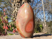Polished  Polychrome / Picasso Jasper Standing Free Forms  x 3 From Mahajanga, Madagascar - Toprock Gemstones and Minerals 