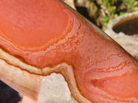 Polished  Polychrome / Picasso Jasper Standing Free Forms  x 3 From Mahajanga, Madagascar - Toprock Gemstones and Minerals 