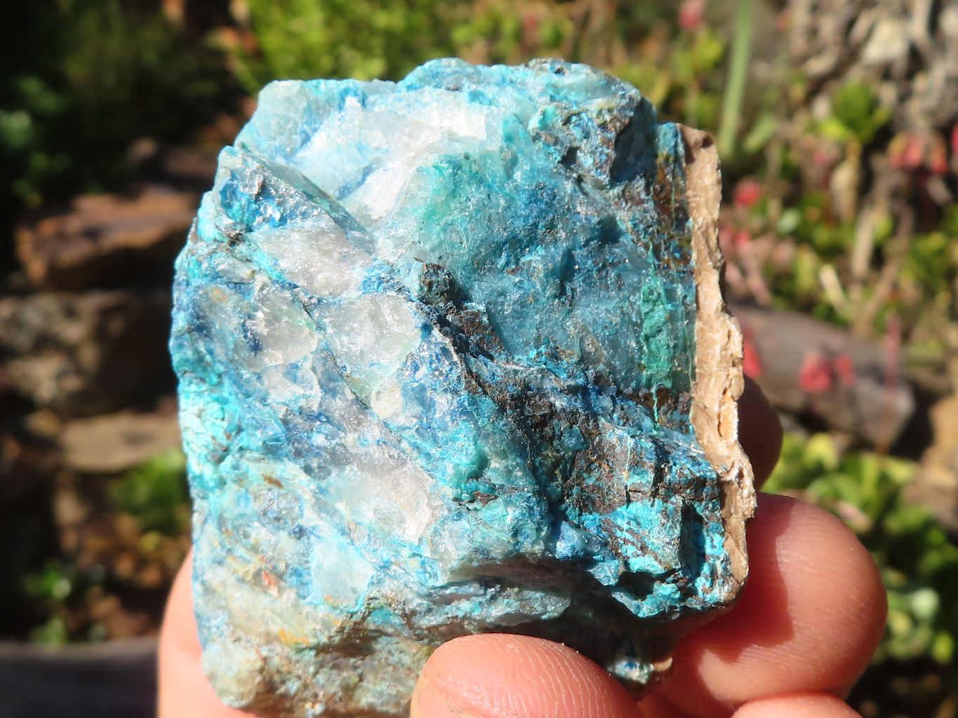 Natural Rough Blue Shattuckite Specimens x 13 From Kaokoveld, Namibia - Toprock Gemstones and Minerals 