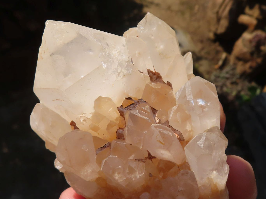 Natural Large Candle Quartz Crystals x 6 From Madagascar - Toprock Gemstones and Minerals 