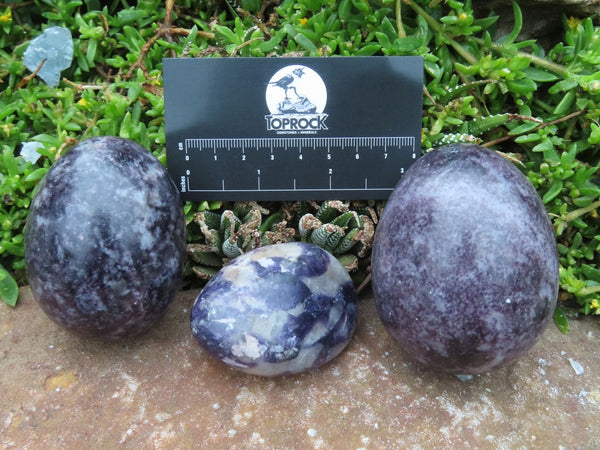 Polished Lepidolite Free Forms & Eggs x 6 From Zimbabwe - TopRock