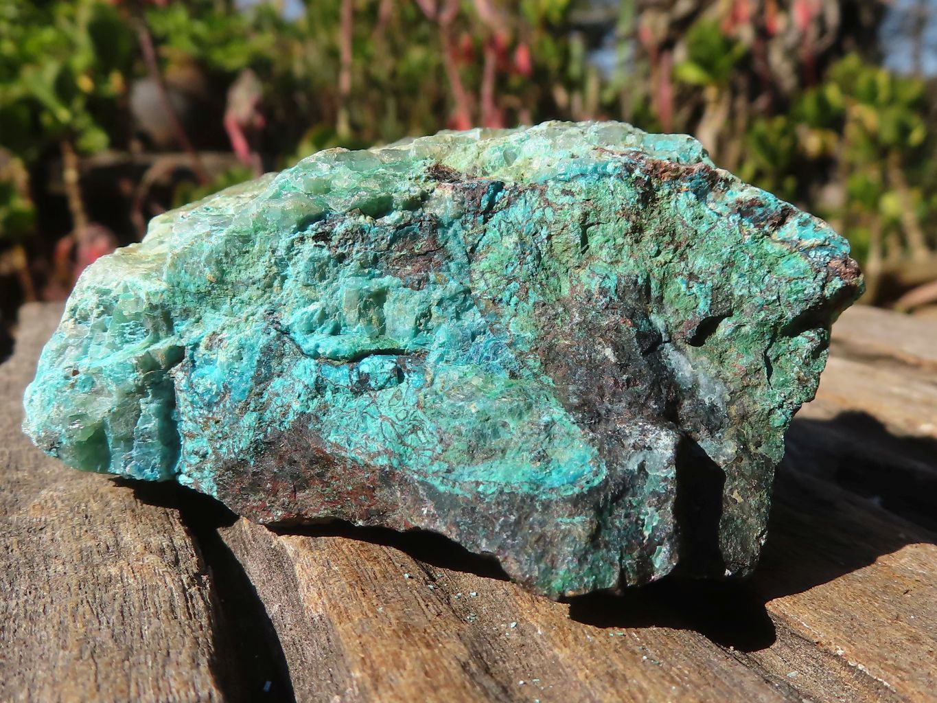 Natural Rough Blue Shattuckite Specimens x 13 From Kaokoveld, Namibia - Toprock Gemstones and Minerals 