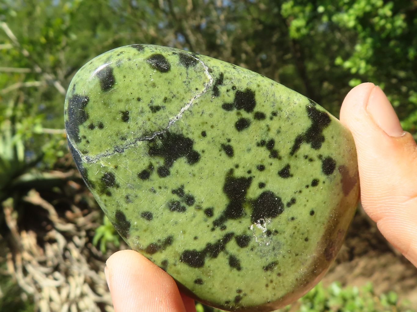 Polished Large Leopard Stone Gallets x 6 From Zimbabwe – Toprock ...