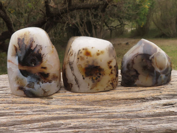 Polished Half Polished Dendritic Agate Free Forms  x 3 From Moralambo, Madagascar - TopRock