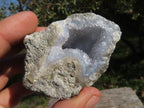 Natural Blue Lace Agate Geode Specimens  x 24 From Nsanje, Malawi - TopRock