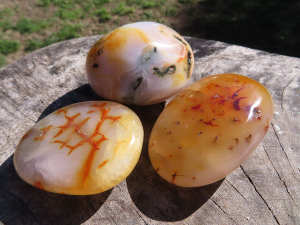 Polished Carnelian Gallets With Natural Vugs & Crystalline Features x 24 From Madagascar - TopRock