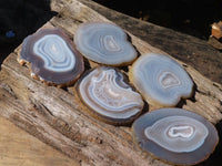 Polished Highly Selected Agate Slices With Stunning Patterns  x 5 From Madagascar