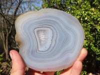 Polished Highly Selected Agate Slices With Stunning Patterns  x 5 From Madagascar