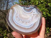 Polished Highly Selected Agate Slices With Stunning Patterns  x 5 From Madagascar