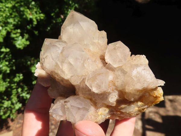 Natural White Phantom Smokey Quartz Clusters  x 6 From Luena, Congo - Toprock Gemstones and Minerals 