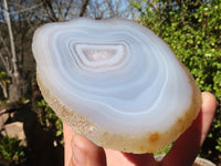 Polished Highly Selected Agate Slices With Stunning Patterns  x 5 From Madagascar