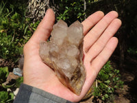 Natural White Phantom Smokey Quartz Clusters  x 6 From Luena, Congo - Toprock Gemstones and Minerals 