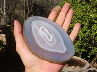 Polished Highly Selected Agate Slices With Stunning Patterns  x 5 From Madagascar