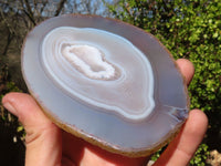 Polished Highly Selected Agate Slices With Stunning Patterns  x 5 From Madagascar