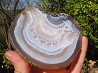 Polished Highly Selected Agate Slices With Stunning Patterns  x 5 From Madagascar