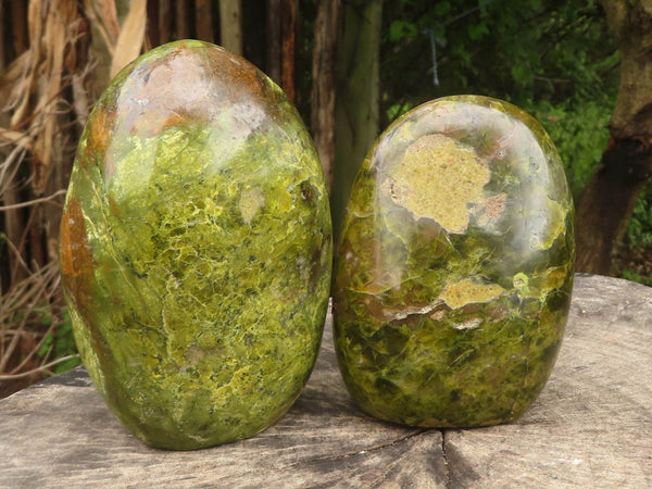 Polished Vibrant Green Opal Standing Free Forms  x 2 From Madagascar - TopRock
