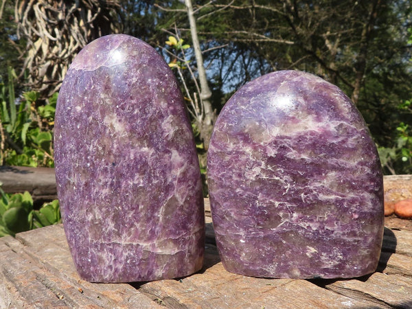 Polished Purple Lepidolite Standing Free Forms  x 2 From Madagascar - Toprock Gemstones and Minerals 