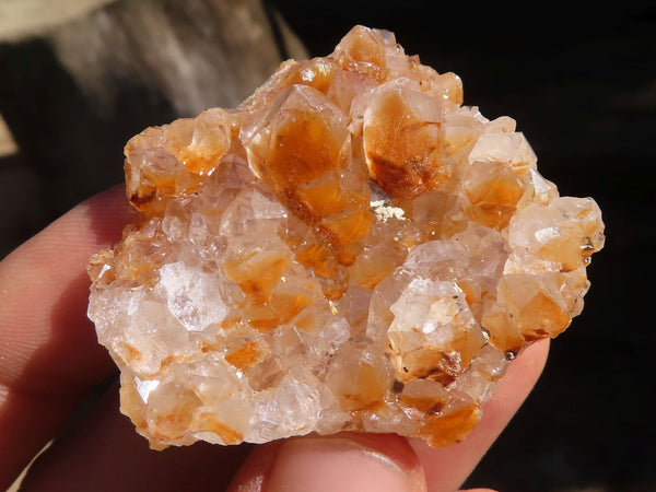 Natural Small Mixed Quartz Clusters  x 70 From Zambia